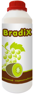 agrotexnologika_bradix.png